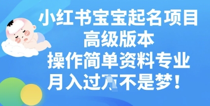 小红书宝宝起名项目高级版本，操作简单，资料专业，月入过W-晶沫AI资源站