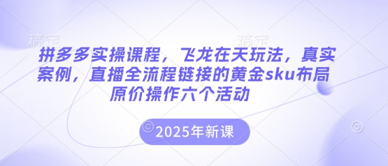 拼多多实操课程,飞龙在天玩法,真实案例,直播全流程链接的黄金sku布局原价操作六个活动-晶沫AI资源站