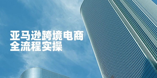 (14252期)亚马逊跨境电商全流程实操,教你从零开始,掌握店铺运营与广告技巧-晶沫AI资源站