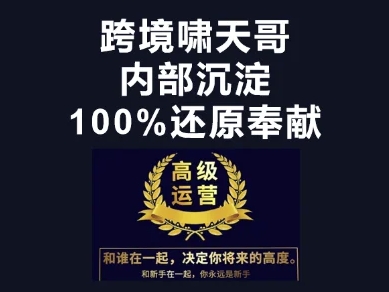 漫威跨境特训营-跨境电商教程-晶沫AI资源站
