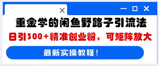 重金学的闲鱼野路子引流法，日引300+精准创业粉，可矩阵放大-晶沫AI资源站