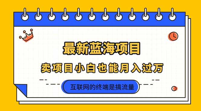 (14289期)2025年最新蓝海项目,卖项目小白也能月入过万-晶沫AI资源站