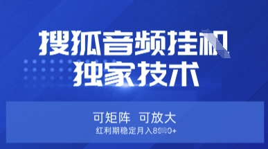 【搜狐音频挂G】独家技术,可矩阵可放大,红利期稳定月入8k【揭秘】-晶沫AI资源站