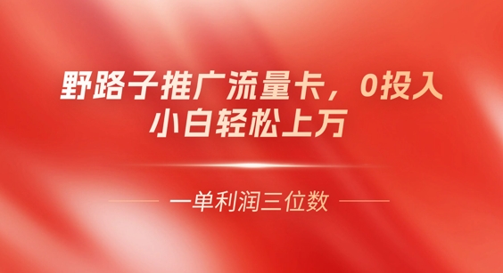 0门槛推广流量卡，一单收益上百，0投入，小白月入过W-晶沫AI资源站