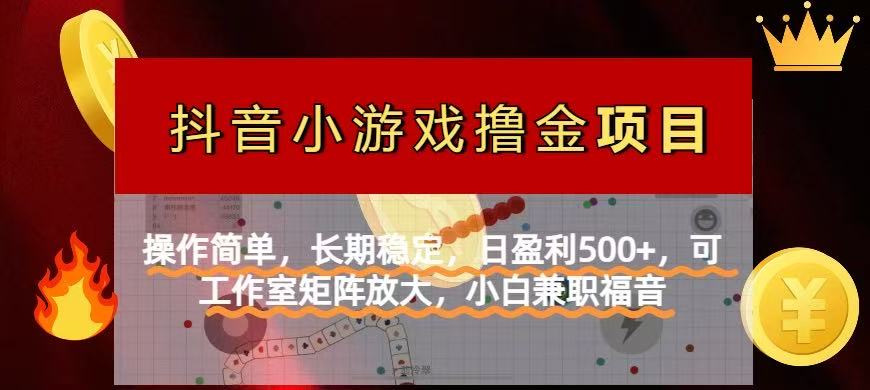 （14290期）【抖音小游戏发行人计划项目】操作简单，长期稳定，日盈利500+，可工作…-晶沫AI资源站