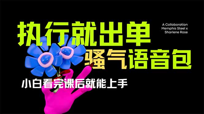 (14170期)爆火全网的开车导航骚气语音包,只要执行就出单,小白看完课程就能实操...-晶沫AI资源站