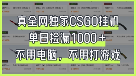 真全网独家CSGO挂G,单日捡漏1k+【揭秘】-晶沫AI资源站
