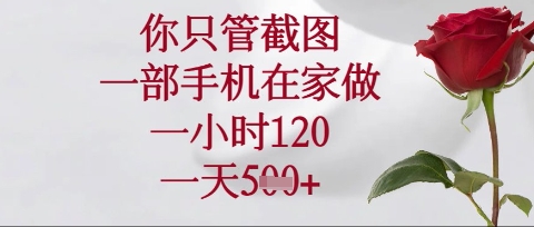 你只管截图,一部手机在家操作,一小时120.一天5张【揭秘】-晶沫AI资源站