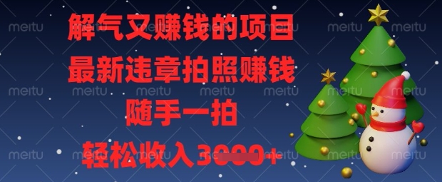 解气又挣钱的项目，最新违章拍照挣钱，随手一拍，轻松收入数张【揭秘】-晶沫AI资源站